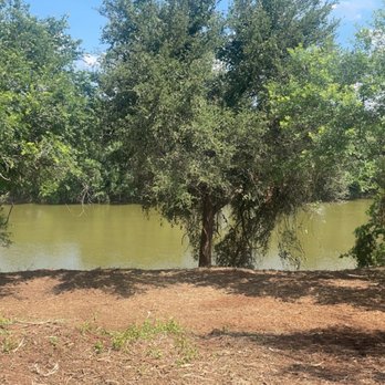 6J Forestry Mulching - Landscaping Near Me - Tolar, Texas 6J Forestry Mulching - Landscaping Near Me - Tolar, Texas