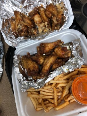 House Of Wings by null