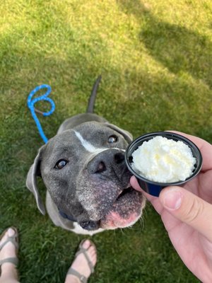 Drifters Cafe by null