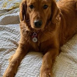 Juliette, 3.5 years old. Juliette, 3.5 years old.
