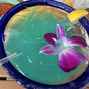 San Jose's Original Mexican Restaurant - Cabo wa o - Tacos Near Me - Clermont, Florida San Jose's Original Mexican Restaurant - Cabo wa o - Tacos Near Me - Clermont, Florida