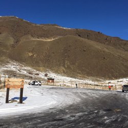 Bighorn Sheep Feeding Station
