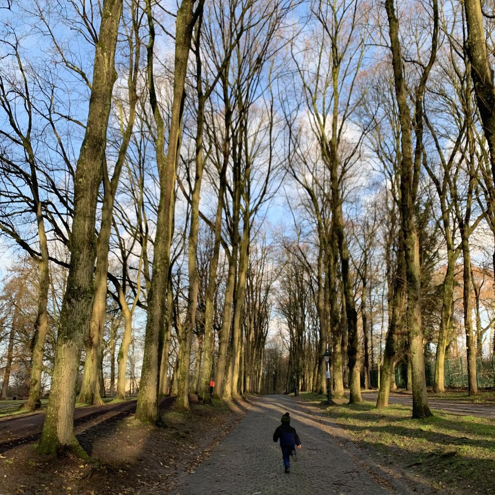 Parc de Wolvendael