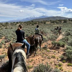 Mountain Joe's Trail Rides
