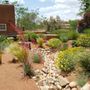 Photo of Bosque Natural