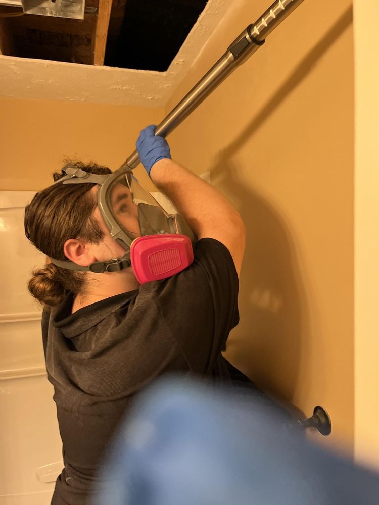 Green Guard Mold & Water - mold inspector in Aurora, CO