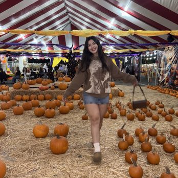 De La Pumpkins & Trees - Christmas Trees Near Me - Arcadia, California