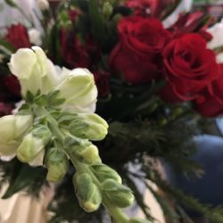 The Bankery & Skowhegan Fleuriste