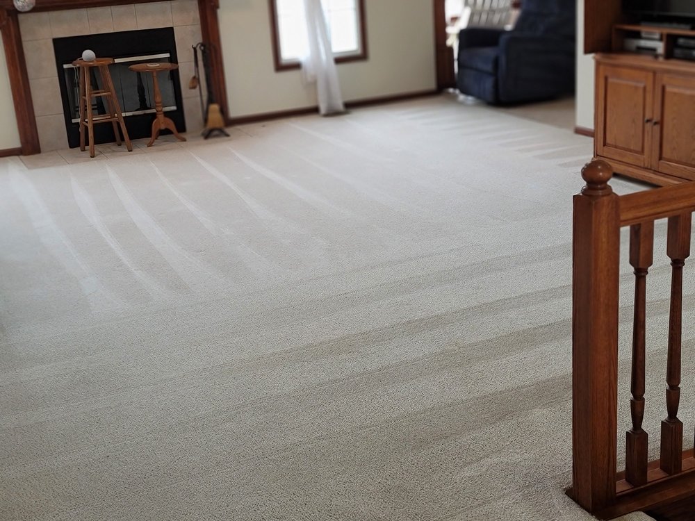 PREMIER PERFORMANCE CARPET CLEANING Updated October 2024 36 Photos
