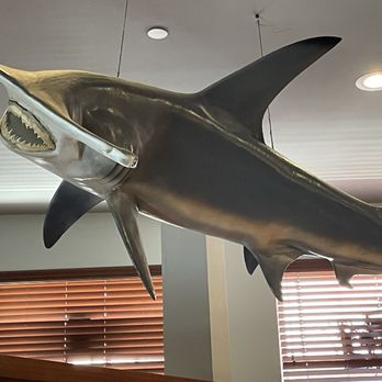 The Cove - New American Near Me - Brigantine, New Jersey