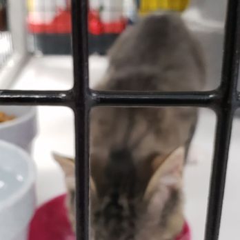 Pet Supermarket - Pet Groomers Near Me - Weston, Florida
