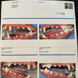 Howls teeth before and after