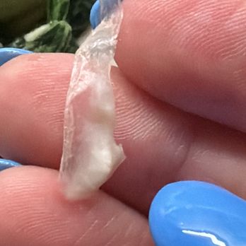 dan modern chinese - Plastic found inside soup dumpling - Chinese Near Me - Los Angeles, California