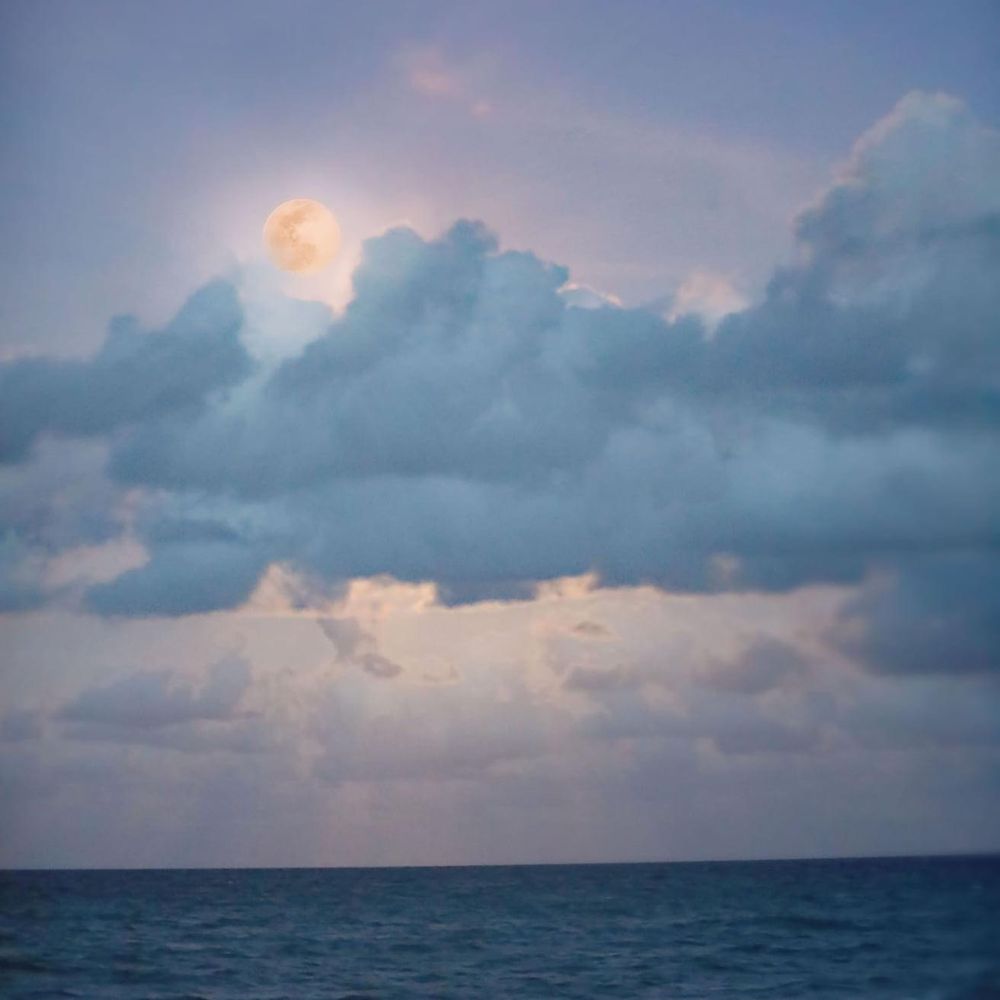 The pink moon on Stuart beach The pink moon on Stuart beach