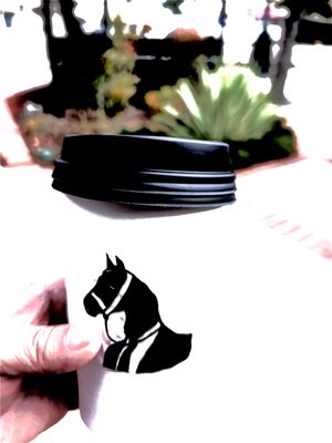 Dark Horse Coffee Roasters by null