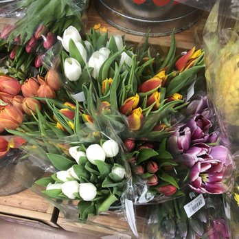 Trader Joe's - Close-up of tulips. - Grocery Near Me - Davie, Florida Trader Joe's - Close-up of tulips. - Grocery Near Me - Davie, Florida