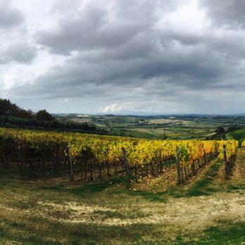 Cantina Tanagatta - Wineries Near Me - Montepulciano, SI