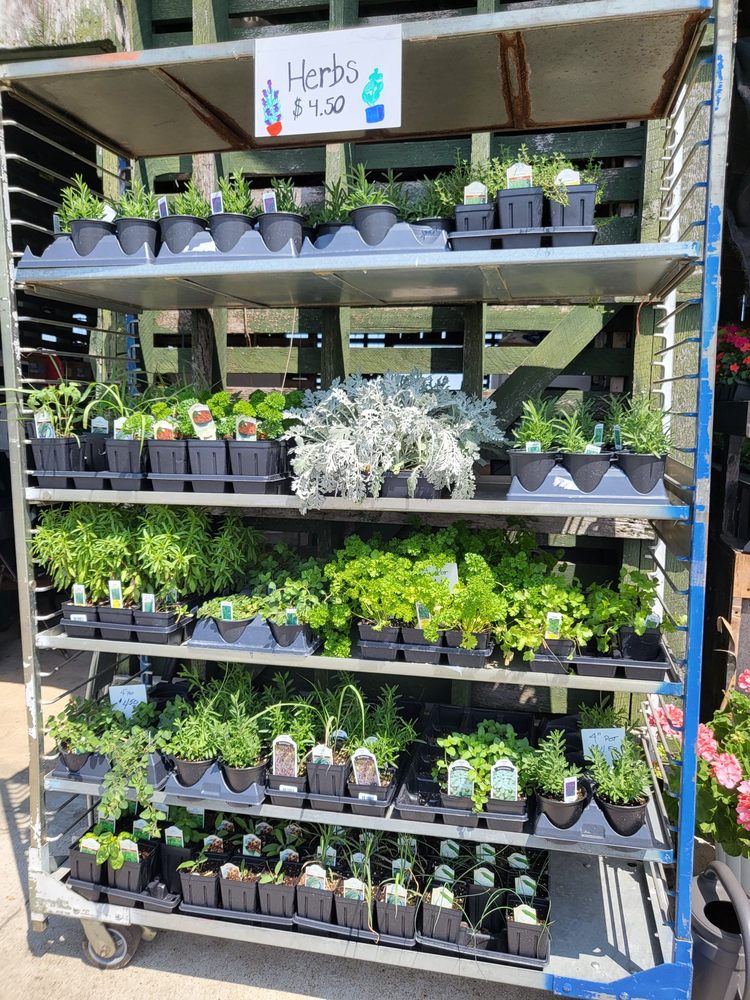 THE CRIB Updated September 2024 12 Photos 2395 Peachers Mill Rd