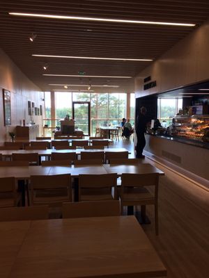 Nuuksio National Park by null