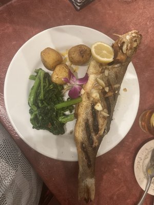 Fernando’s Dockside Grille by null