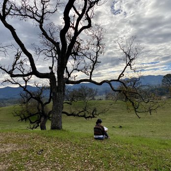 Sagrada Wellness - Yoga Near Me - Santa Margarita, California Sagrada Wellness - Yoga Near Me - Santa Margarita, California
