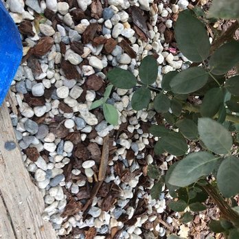 Rare Earth Landscape Materials - Don't rock the bark, baby. - Landscaping Near Me - Grass Valley, California