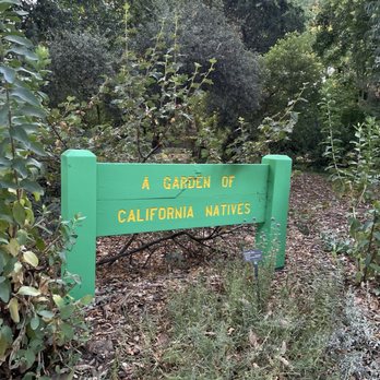 University Arboretum - And I'm one of them at this moment - Botanical Gardens Near Me - Sacramento, California