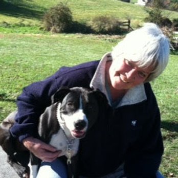 LionheartK9 - Pet Training Near Me - Westminster, Maryland LionheartK9 - Pet Training Near Me - Westminster, Maryland