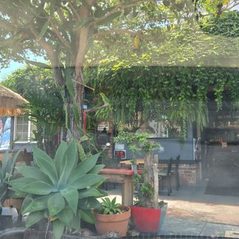 Birdcage Coffee House - Coffee & Tea Near Me - Long Beach, California Birdcage Coffee House - Coffee & Tea Near Me - Long Beach, California