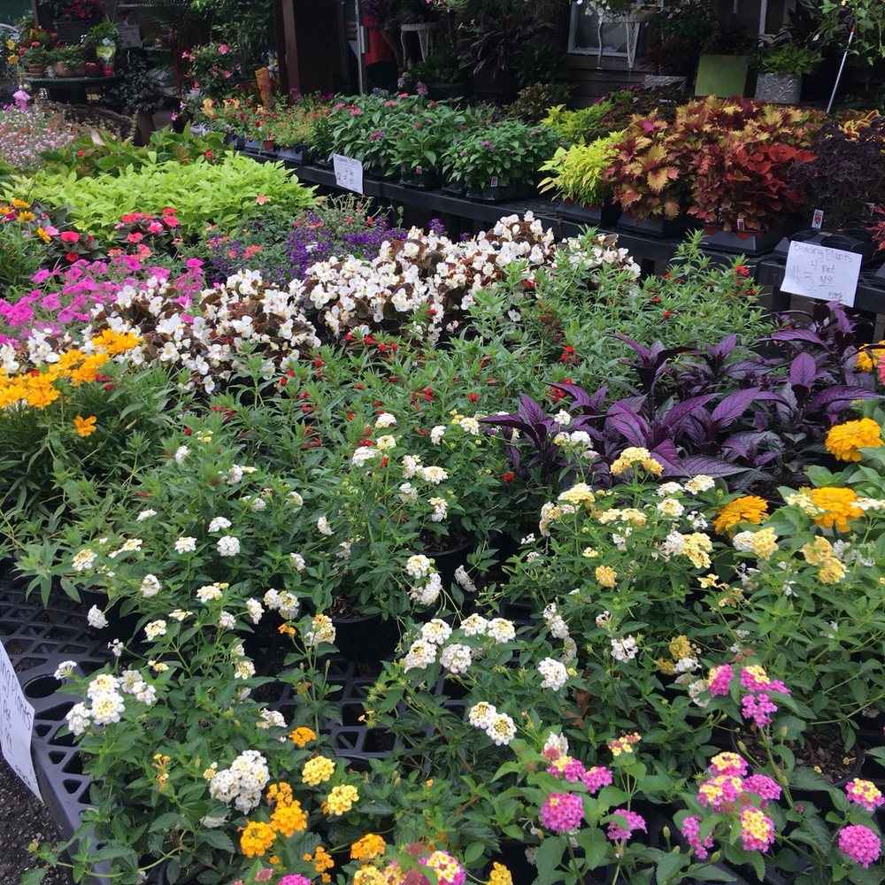 Laura Kay's Nursery & Florist - Nurseries & Gardening Near Me - Mobile, Alabama Laura Kay's Nursery & Florist - Nurseries & Gardening Near Me - Mobile, Alabama