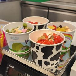 Toppings Frozen Yogurt and Smoothie Bar