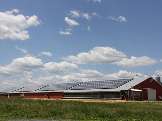 Paradise Energy Solutions