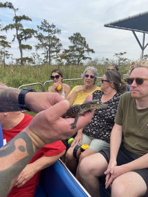 Gators and Ghosts: New Orleans Tours by null