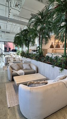 Pura Vida Miami by null