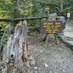 Hemlock Lodge