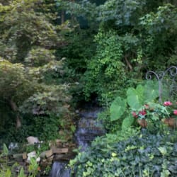 Black Forest Bed & Breakfast