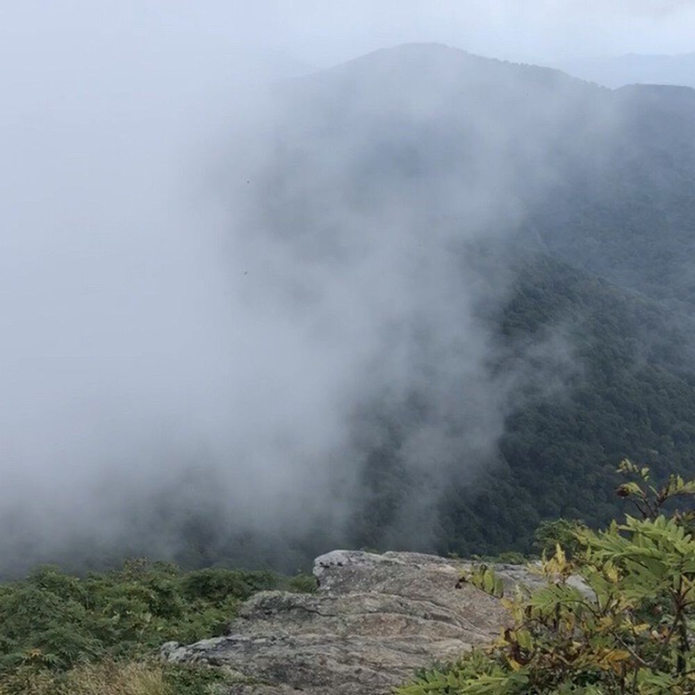 Craggy Gardens - View from the top - Hiking Near Me - Black Mountain, North Carolina Craggy Gardens - View from the top - Hiking Near Me - Black Mountain, North Carolina