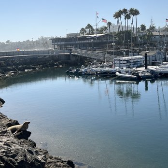 Santa Barbara Harbor - Bay - Tours Near Me - Santa Barbara, California Santa Barbara Harbor - Bay - Tours Near Me - Santa Barbara, California