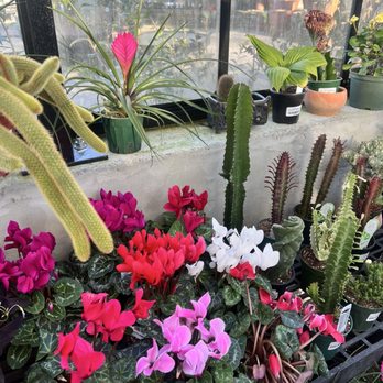 Flower House Cafe - New American Near Me - Langley, Washington