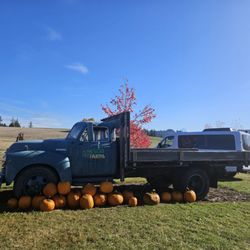 Olson Farms