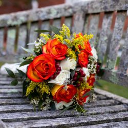 Wild Orchid Florist