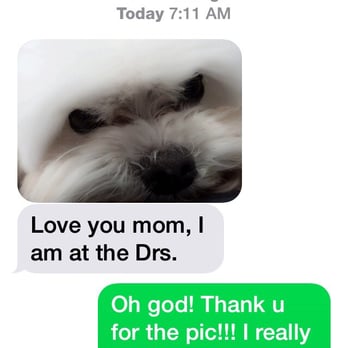The Spaw - Why this place is the BEST: I'm in Hawaii & Stuart got sick & Carrie took him to the ER! Her 12+ years as a vet tech=invaluable! - Pet Groomers Near Me - Tustin, California The Spaw - Why this place is the BEST: I'm in Hawaii & Stuart got sick & Carrie took him to the ER! Her 12+ years as a vet tech=invaluable! - Pet Groomers Near Me - Tustin, California