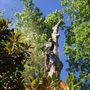 Photo of JJ's Landscape and Tree Service
