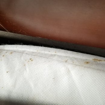 Radisson Hotel Philadelphia Northeast - Brown spots on the box spring - Hotels Near Me - Trevose, Pennsylvania