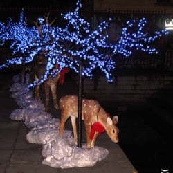 Cork's Christmas Market