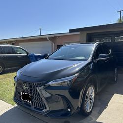 Belmont Mobile Auto Detail - From shinny rims to glossy finish