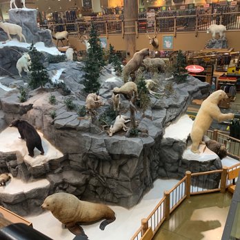 Cabela's - Outdoor Gear Near Me - Lacey, Washington Cabela's - Outdoor Gear Near Me - Lacey, Washington
