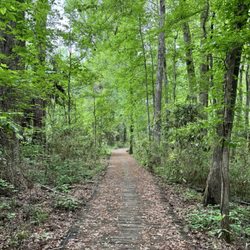 Santee State Park - Trail
