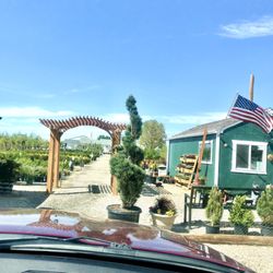 Hopkins Evergreens - Entrance