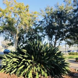 Trailhead Park Playground